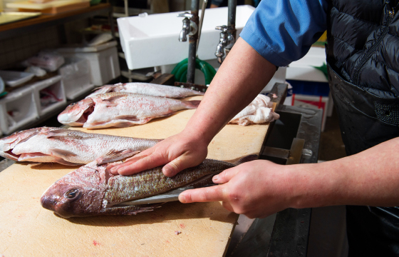お客様が持ち込まれた魚介類を捌く代行サービスも全店舗にて承っております。